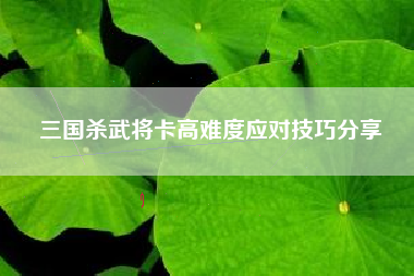 三国杀武将卡高难度应对技巧分享  第1张