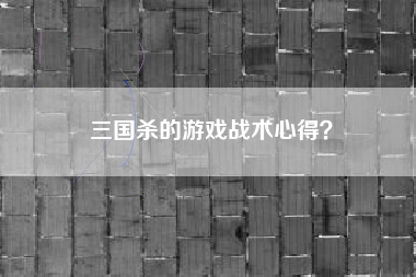 三国杀的游戏战术心得？  第1张