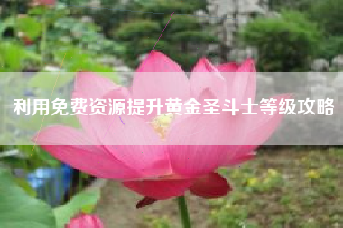 利用免费资源提升黄金圣斗士等级攻略  第1张