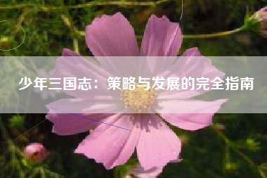 少年三国志：策略与发展的完全指南  第1张
