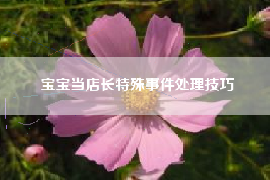宝宝当店长特殊事件处理技巧  第1张