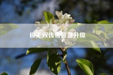 极无双传奇装备升级  第1张