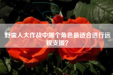 野蛮人大作战中哪个角色最适合进行远程支援？  第1张