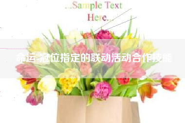 命运-冠位指定的联动活动合作技能  第1张